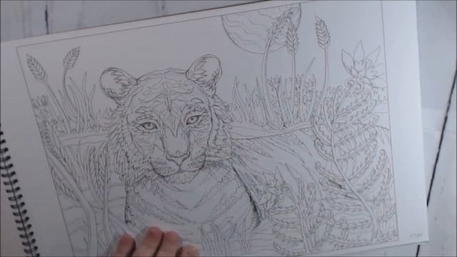Color With Me Book 1 and 2 Review by Pamela Smart смотреть онлайн