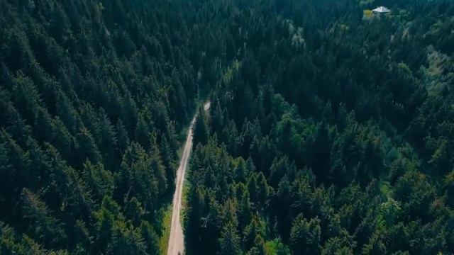 Magician, Jinn & Black Magic Exposed ! Mufti Menk