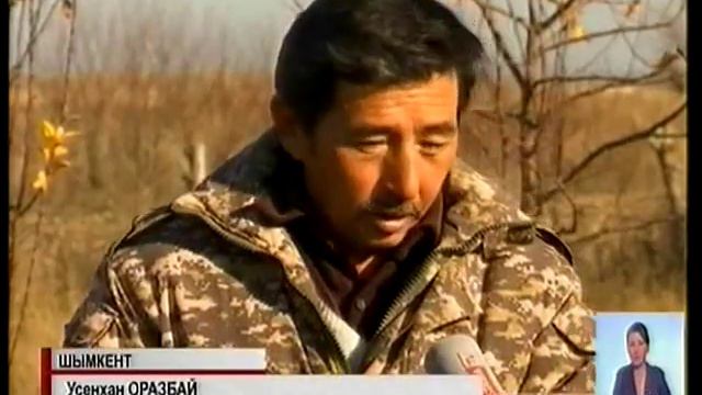 В ЮКО с начала 2015 го в общественные приемные «Нұр Отана» обратились более 5000 человек смотреть онлайн