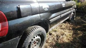 Пинин для Авито