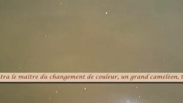 Métaphore Thérapeutique - Densité De Soi Et Unité - Sous Titres.