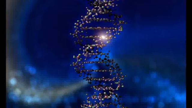 Approvata la legge sulle biobanche смотреть онлайн