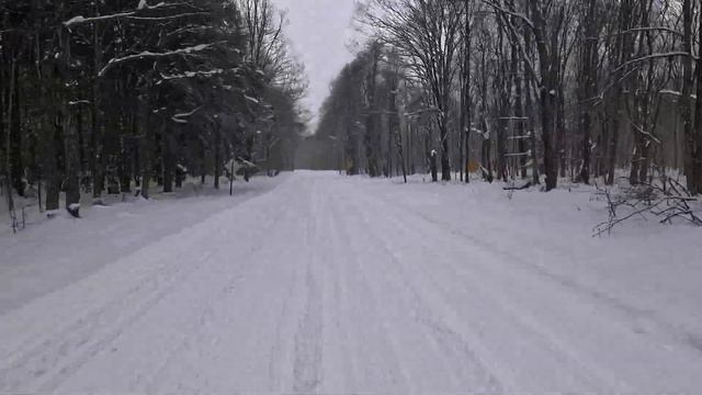 Tug Hill Snowmobiling 3/23/24 - Best Conditions Of The Year!!  - Jesse James Sighting In The Wild!