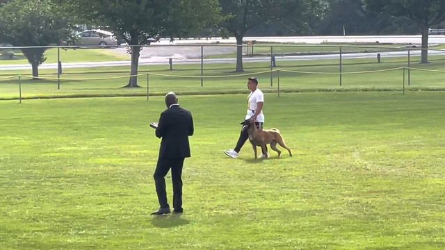 Mark Saccoccio and Hector AWDF 2021 PROT 90 points смотреть онлайн