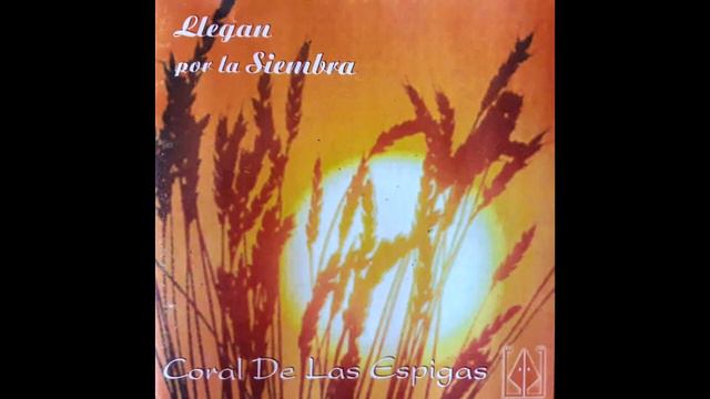 11-Coral de las Espigas_Bullerengue смотреть онлайн
