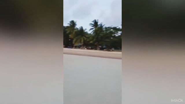 French Bulldog on the beach at Koh Tao Thailand смотреть онлайн