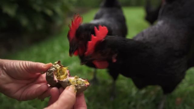 Mitchell's Xmas - 2013