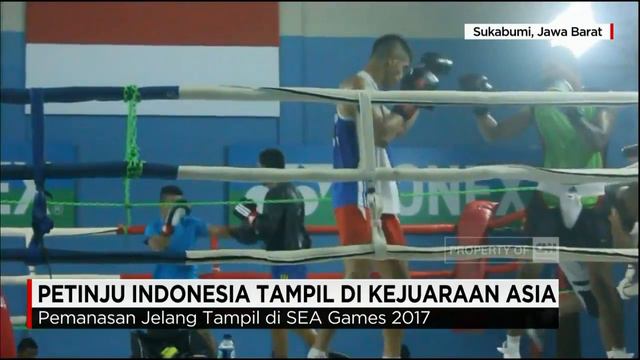Petinju Indonesia Tampil Di Kejuaraan Asia