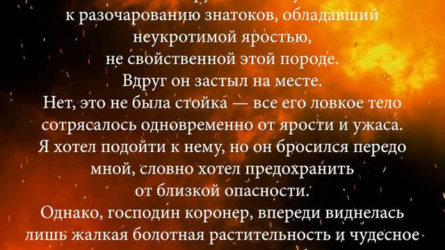 В болотах Фенн - Жан Рэй смотреть онлайн