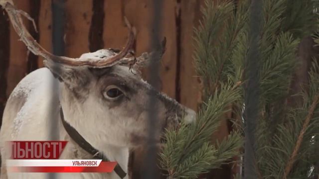 Реальность 12.01.22 смотреть онлайн