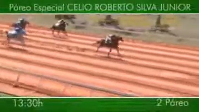 10 08 2014 12 00 Páreo Especial CELIO ROBERTO SILVA JUNIOR 1º Pareo смотреть онлайн