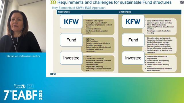 7th EABF Workshop - 15 February - Sustainable investment: What does it mean for companies? смотреть онлайн