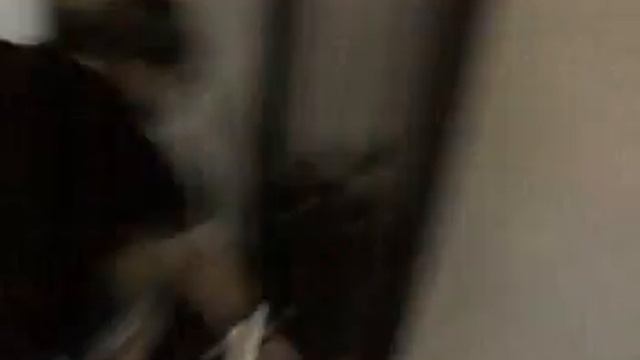 Gilotina v posilovně смотреть онлайн