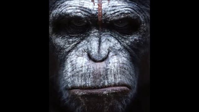 APES BY PYRO смотреть онлайн