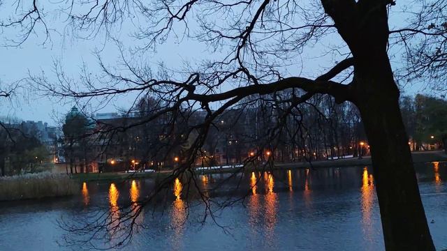 VID 20221105 170108 BAGATELLE (И. Бродский)...Павел Васильев Лахтинский смотреть онлайн