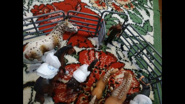 Фильм с драмой | про лошадей смотреть онлайн