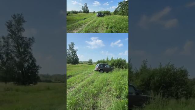 5 июля 2024 г. смотреть онлайн