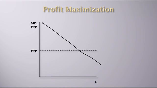 Labor Economics - Labor Demand: Short-Run Profit Maximization смотреть онлайн