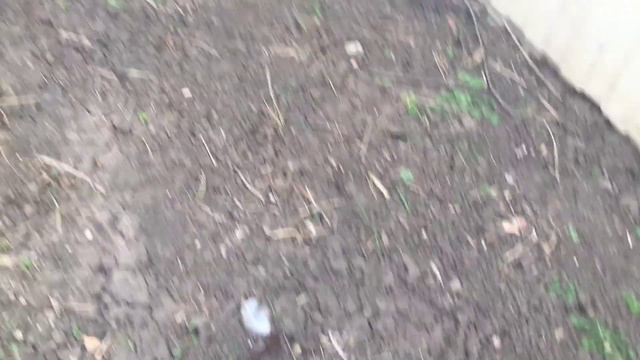 Холодная весна ! смотреть онлайн