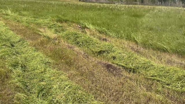 МЕЩЕРА Е403(новое поле для покоса) смотреть онлайн