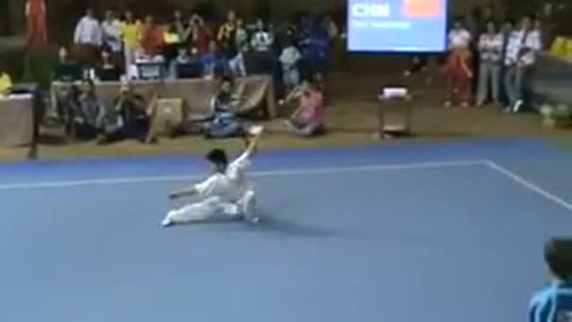 Changquan C - Ren Dianshuai China San Duan Chang Quan.mp4