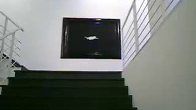 Vittorio Gui Dusseldorf Exhibition 2005