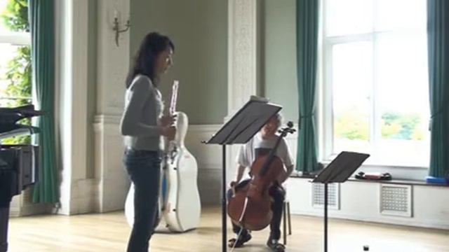 J.S. Bach: Sonata for viola da gamba in D major, BWV 1028, I and II mov. Part 5/6 смотреть онлайн