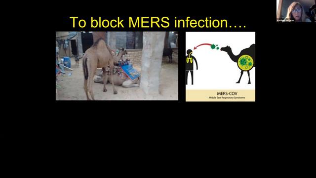 Kathleen L. Hefferon|Cell Science Webinar|2021|Stem Cell|Biotechnology| Confrontiers Conferences LL