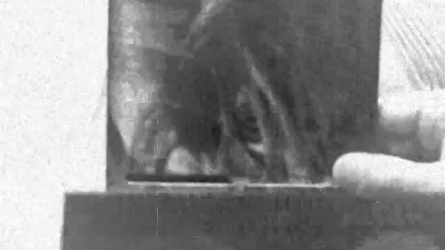 Muybridge In Motion смотреть онлайн