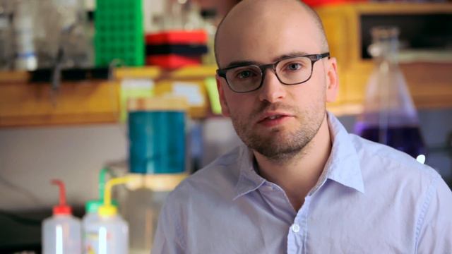 Small Talk: How bacteria converse to behave collectively смотреть онлайн