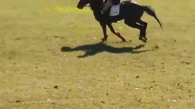 Diego Viera Con Carbonero