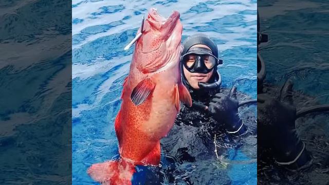 QUIK 20190303 033245