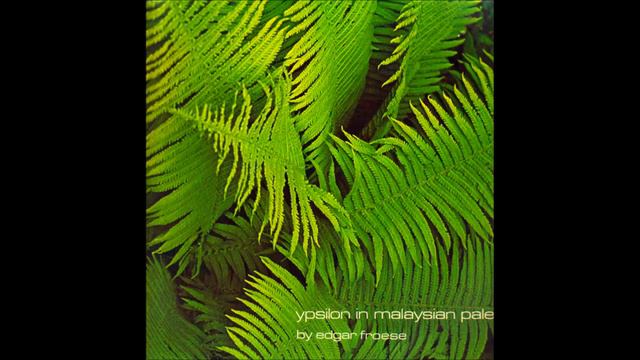 Edgar Froese -  Epsilon In Malaysian Pale - Maroubra Bay