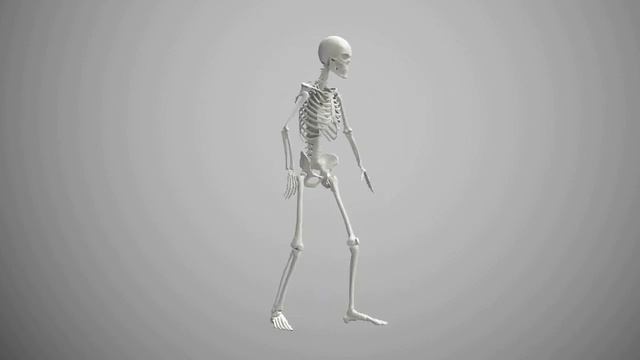 The Skeleton Dance (Produced By Deniz & Ati)