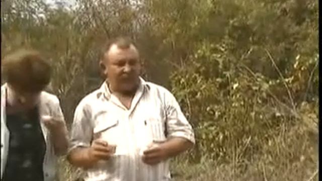 Ливадия  #8212; Видео@Mail Ru 1