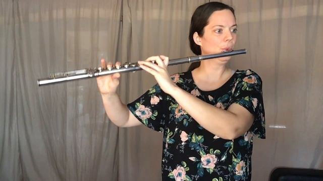 Blavet Sonata II in D Minor for Flute and Basso Continuo, Op. 3 Sarabande смотреть онлайн