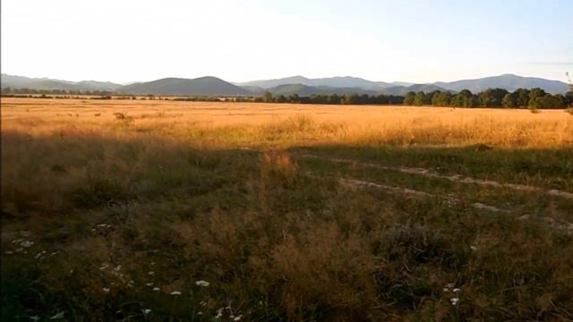 Прогулянка ;) Хуст