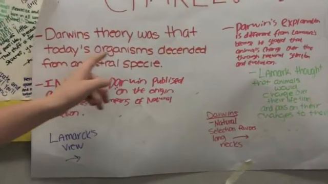 Biological Evolution Evidence Part 2