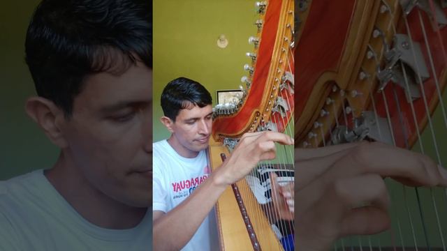 Nde Rendape Aju de José Asunción Flores en Arpa смотреть онлайн
