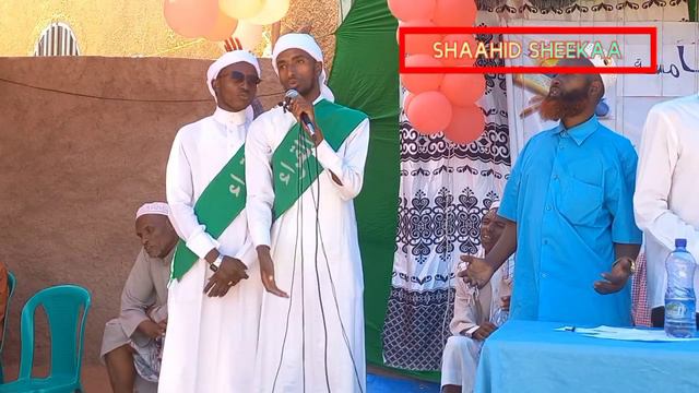 Agarsiisa shaaxabii Barattoota obsaafi Musaa'aab смотреть онлайн