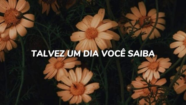 Noah Urrea - Flowers (Tradução) смотреть онлайн