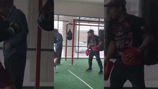 Pro Boxer Marlon Tapales Training смотреть онлайн