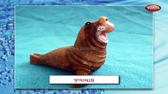 Water Animals In Gujarati | Learn Gujarati For Kids | Gujarati Grammar | Gujarati For Beginners смотреть онлайн