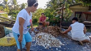 Kain tayo ng mansanita mga kabidabs at magtadtad ng kamoteng kahoy!V121