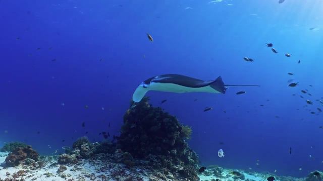 Всем доброго утра и хорошего дня! смотреть онлайн