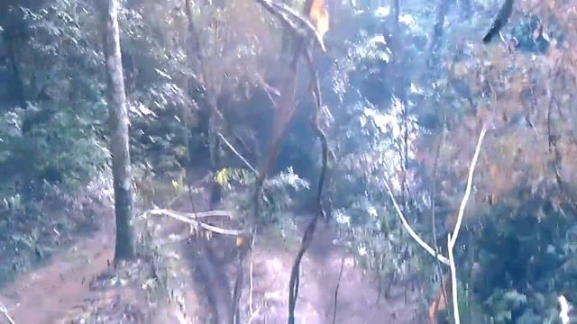 Vamos Que Vamos Na Leopoldo 1