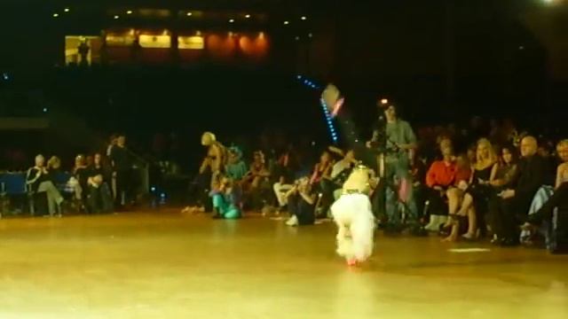 dancestar - slowspot sophie pugh смотреть онлайн