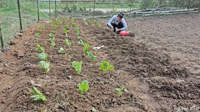 full video. How to garden and harvest vegetables to sell at the market. Help from strangers смотреть онлайн