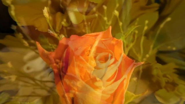 Meine Diashow / Frühlingsblumen смотреть онлайн