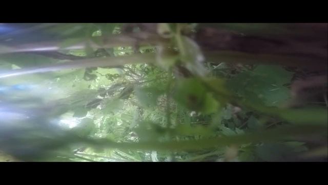 Как Михан упасть умудрился)